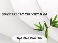 Soạn bài Cây tre Việt Nam Ngữ Văn 7 tập 2 Cánh Diều