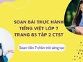 Soạn bài Thực hành tiếng Việt lớp 7 trang 83 tập 2 CTST