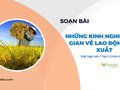 Soạn bài Những kinh nghiệm dân gian về lao động sản xuất