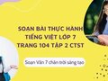 Soạn bài Thực hành tiếng Việt lớp 7 trang 104 tập 2 CTST