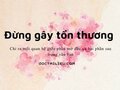 Mối quan hệ giữa phần mở đầu và hai phần sau trong Đừng gây tổn thương