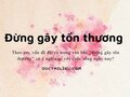 Theo em, vấn đề đặt ra trong văn bản Đừng gây tổn thương có ý nghĩa gì 