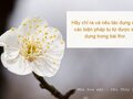 Chỉ ra và nêu tác dụng của các biện pháp tu từ trong Mùa hoa mận