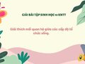 Giải thích mối quan hệ giữa các cấp độ tổ chức sống - sinh 10 KNTT