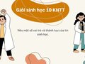 Nêu một số vai trò và thành tựu của tin sinh học - sinh học 10 kntt