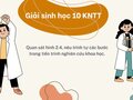Quan sát hình 2.4 nêu trình tự các bước trong tiến trình nghiên cứu