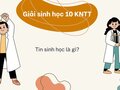 Tin sinh học là gì? - Sinh học 10 Kết nối tri thức
