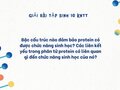 Bậc cấu trúc nào đảm bảo protein có được chức năng sinh học?