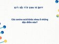 Các amino acid khác nhau ở những đặc điểm nào? Sinh 10 KNTT