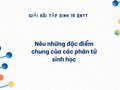 Nêu những đặc điểm chung của các phân tử sinh học - sinh 10 KNTT