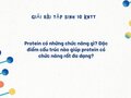 Protein có những chức năng gì? Đặc điểm cấu trúc nào giúp protein