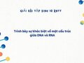 Trình bày sự khác biệt về mặt cấu trúc giữa DNA và RNA