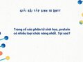 Trong số các phân tử sinh học, protein có nhiều loại chức năng