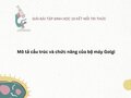 Mô tả cấu trúc và chức năng của bộ máy Golgi - Sinh 10 KNTT
