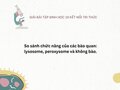 So sánh chức năng của các bào quan: lysosome, peroxysome và