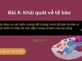Đưa ra các dẫn chứng để chứng minh tế bào là đơn vị nhỏ nhất