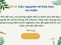 Khi để rau, củ trong ngăn đá tủ lạnh sau đó lấy ra ngoài