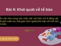 Mẫu vật nào trong các mẫu vật: lát biểu mô ở động vật, một giọt...