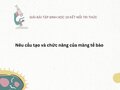 Nêu cấu tạo và chức năng của màng tế bào - Sinh học 10 KNTT