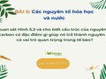 Quan sát Hình 5.2 và cho biết cấu trúc của nguyên tử carbon có