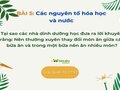Tại sao các nhà dinh dưỡng học đưa ra lời khuyên rằng