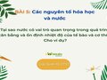 Tại sao nước có vai trò quan trọng trong quá trình cân bằng