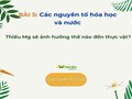Thiếu Mg sẽ ảnh hưởng thế nào đến thực vật?