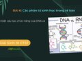 Phân biệt cấu tạo, chức năng của DNA và RNA