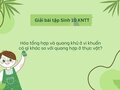 Hóa tổng hợp và quang khử ở vi khuẩn có gì khác so với quang
