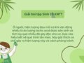 Ở người, hiện tượng đau mỏi cơ khi vận động nhiều là do lượng