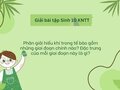 Phân giải hiếu khí trong tế bào gồm những giai đoạn chính nào?