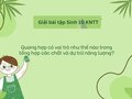 Quang hợp có vai trò như thế nào trong tổng hợp các chất và dự