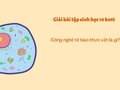 Công nghệ tế bào thực vật là gì? Sinh học 10 KNTT
