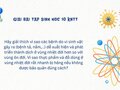 Hãy giải thích vì sao các bệnh do vi sinh vật gây ra bệnh tả, nấm...