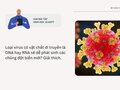 Loại virus có vật chất di truyền là DNA hay RNA sẽ dễ phát sinh