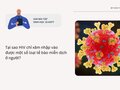 Tại sao HIV chỉ xâm nhập vào được một số loại tế bào miễn dịch