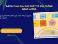 Trong quá trình phân giải hiếu khí, oxygen có vai trò gì?