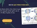 Giai đoạn phân chia nhân ở quá trình nguyên phân gồm các kì nào?