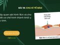 Hãy quan sát hình 18.4 và cho biết cơ chế hình thành khối u ác tính