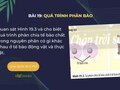 Quan sát Hình 19.3 và cho biết quá trình phân chia tế bào chất