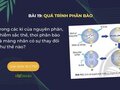 Trong các kì của nguyên phân, nhiễm sắc thể, thoi phân bào và