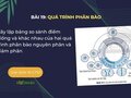 Hãy lập bảng so sánh điểm giống và khác nhau của hai quá trình
