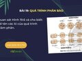 Kể tên các kì của quá trình giảm phân