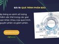 Lập bảng so sánh số lượng nhiễm sắc thể trong các giai đoạn