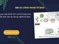 Quan sát Hình 21.1 và 21.2 hãy cho biết thế nào là công nghệ tế bào