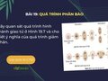 Quan sát quá trình hình thành giao tử ở Hình 19.7 và cho biết