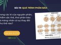 Trong các kì phân bào giảm phân, nhiễm sắc thể, thoi phân bào