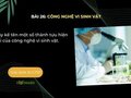 Hãy kể tên một số thành tựu hiện đại của công nghệ vi sinh vật