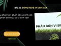 Hãy phân biệt phân bón vi sinh vật và phân bón hữu cơ vi sinh