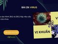 Nêu cấu tạo của virus 